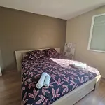 Maison Familiale Proche Roissy Cdg Et Asterix Prázdninový dům